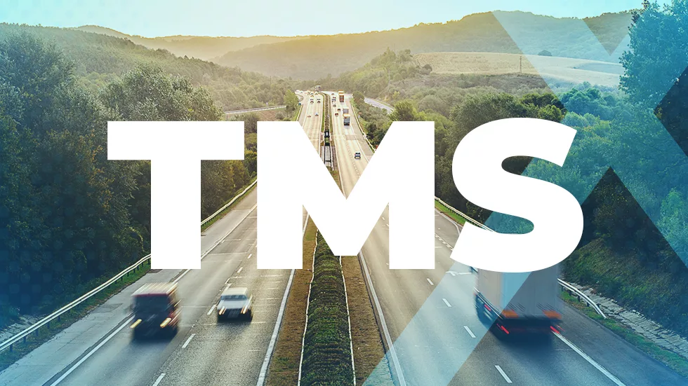 Cost Efficiency and Route Optimization with TMS Services