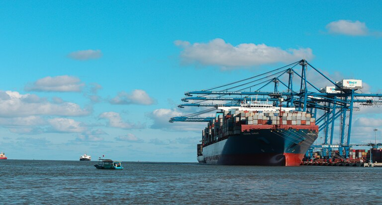 From Chaos to Control: How Global Logistics Track Platforms Optimize Route Planning 6 image 366