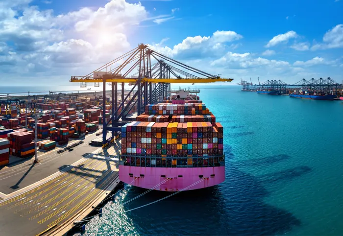 Warum jedes E-Commerce-Unternehmen eine globale Logistikplattform braucht 11 image 397
