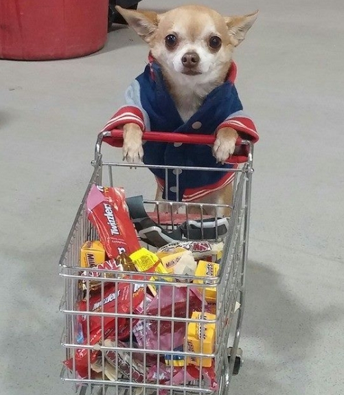 Cut Cart Abandonment with Transparent OMS Updates