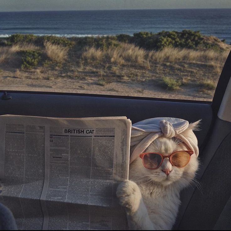 Optimizing Shipping for International Markets with Postalparcel: Key Strategies for Success 15 Optimizing Shipping for International Markets with Postalparcel: Key Strategies for Success